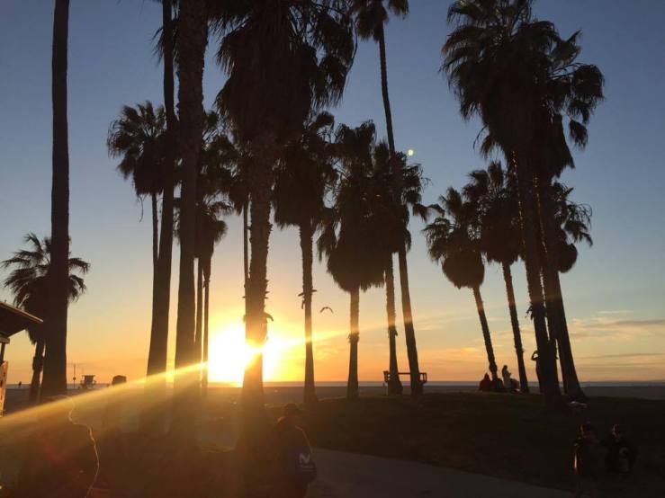 16176765_10154967759338824_2045959385_n