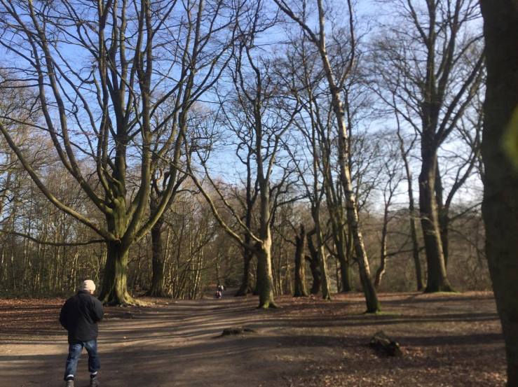 16731802_10155048942673824_1309681625_o