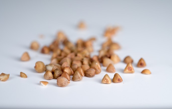 buckwheat-1835998_1920